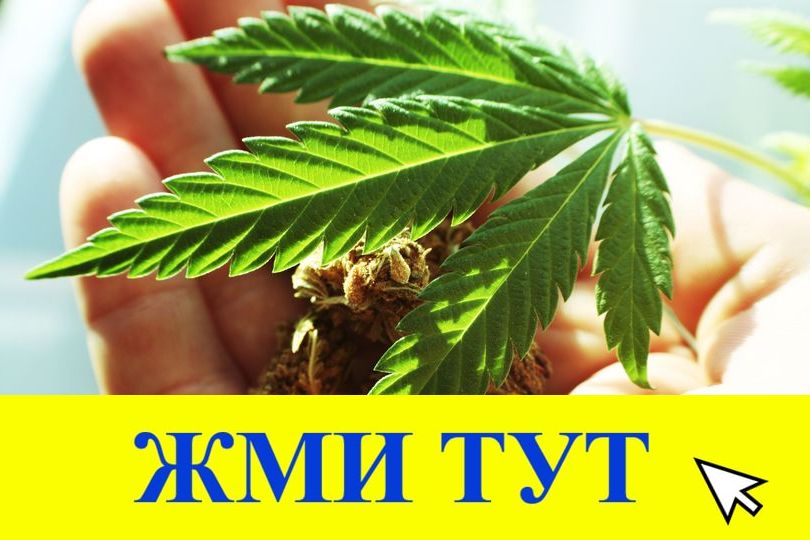 Купить наркотики в Новосибирске